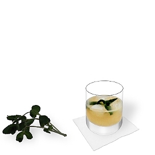 Whisky Sour im Whisky-Glas mit Pfefferminz Dekoration, die übliche Art diesen leckeren Sour zu servieren.